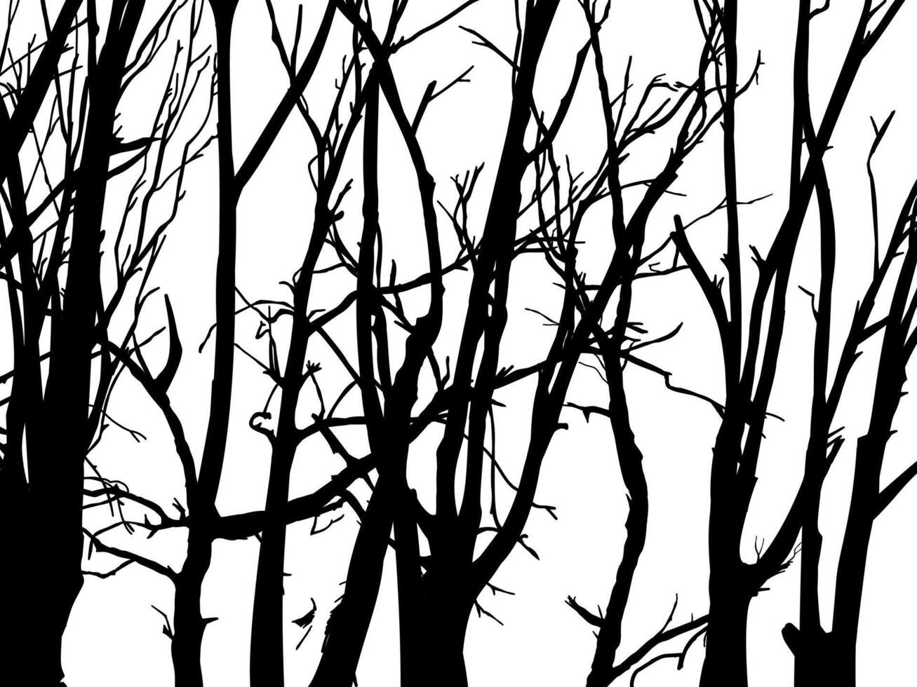 Black Branch Tree silhouettes set forest nature style. vector