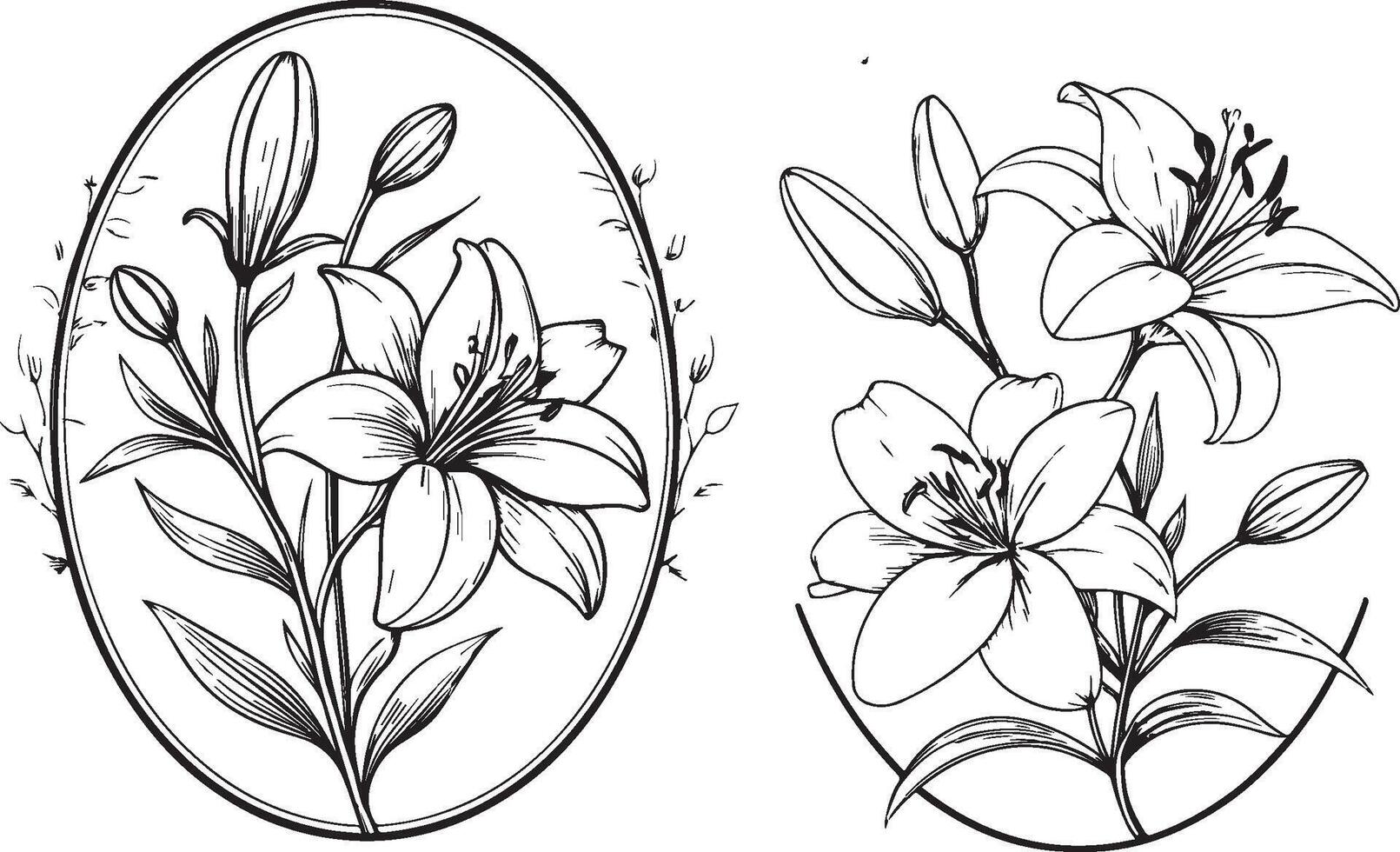 illustration of a flower white and black line art design vector