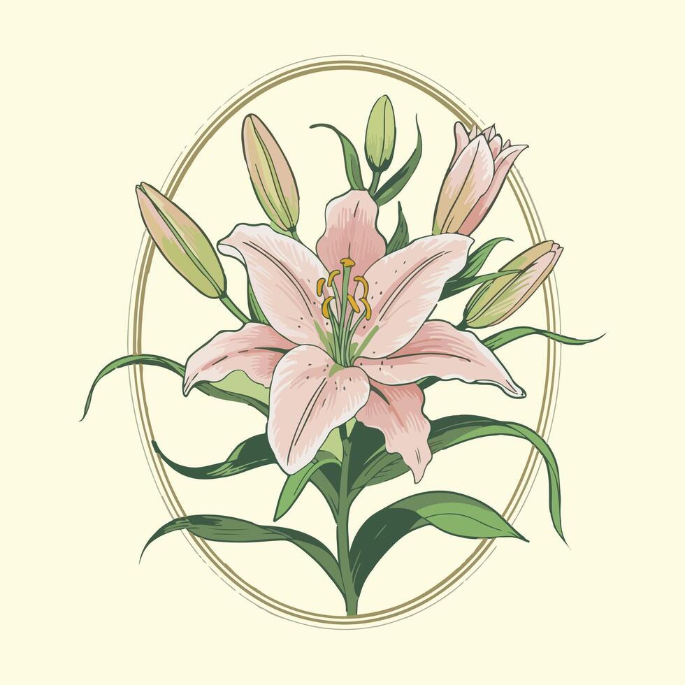 illustration of lily Intricate Lily Illustration with Buds and Leaves on Light Yellow Background - Elegant Botanical Art vector