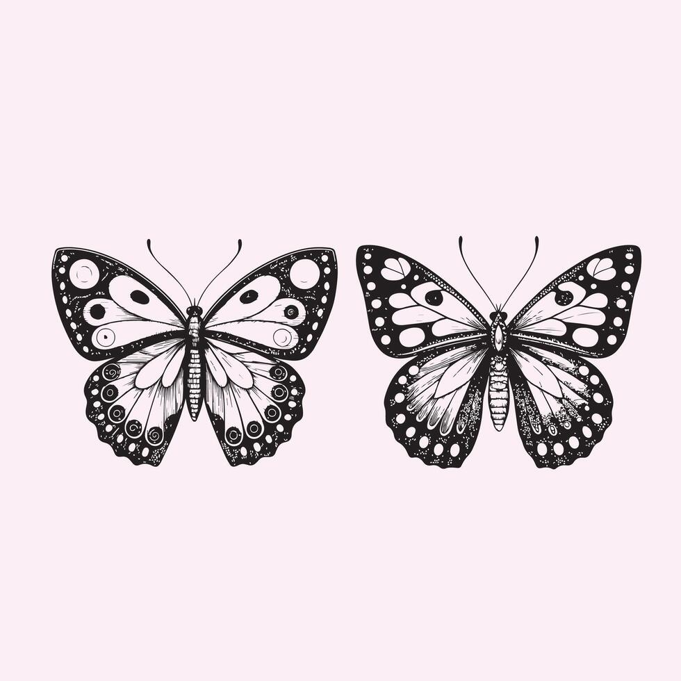 Intricate Black and White Butterfly Designs on a Light Pink Background - Nature-Inspired Art vector