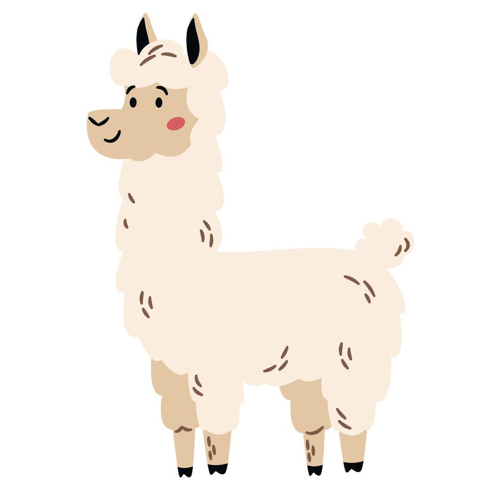 Flat illustration in a simple children's style. Cute llama on white background. Farm animals vector