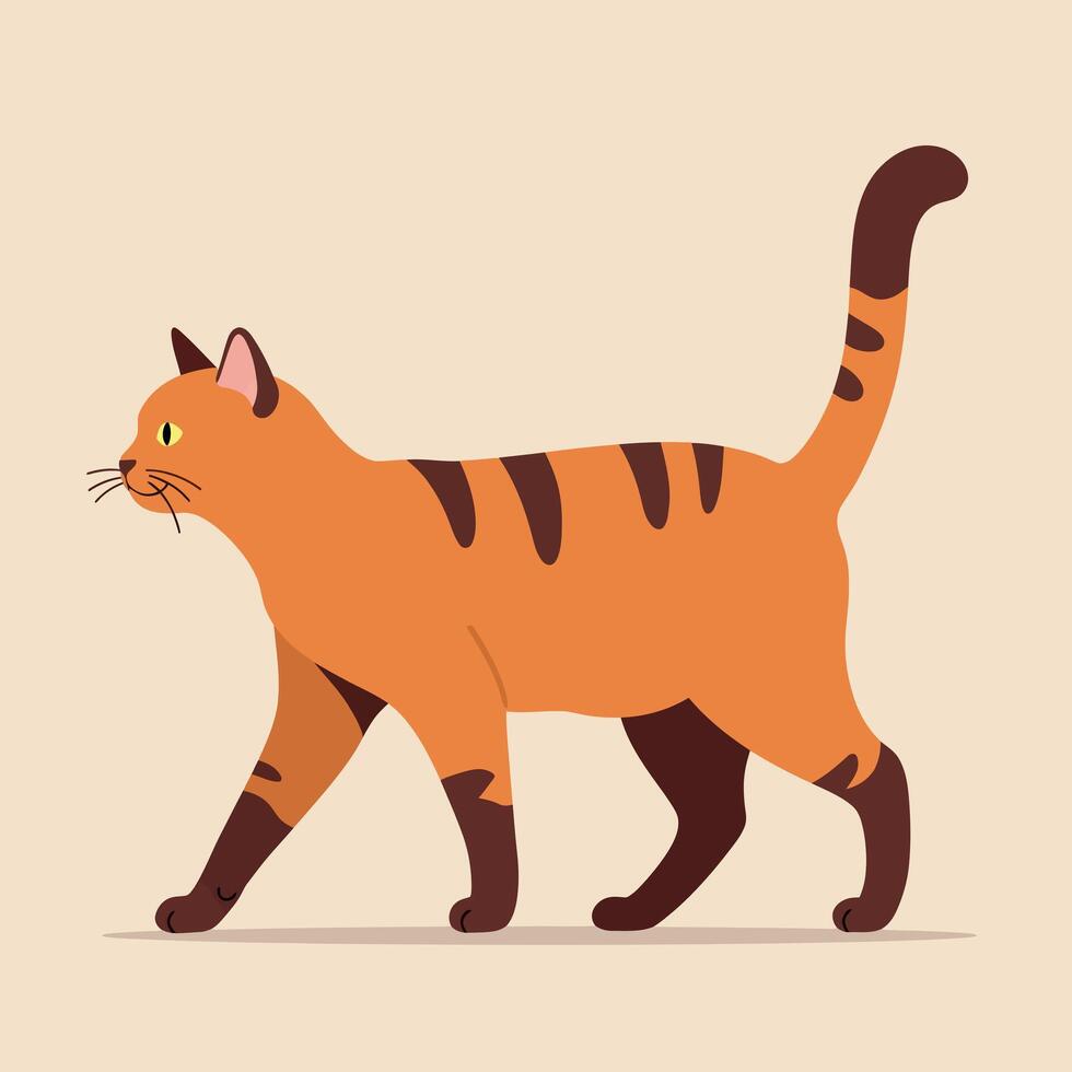 Orange and brown striped cat walking side view illustration with simple background vector