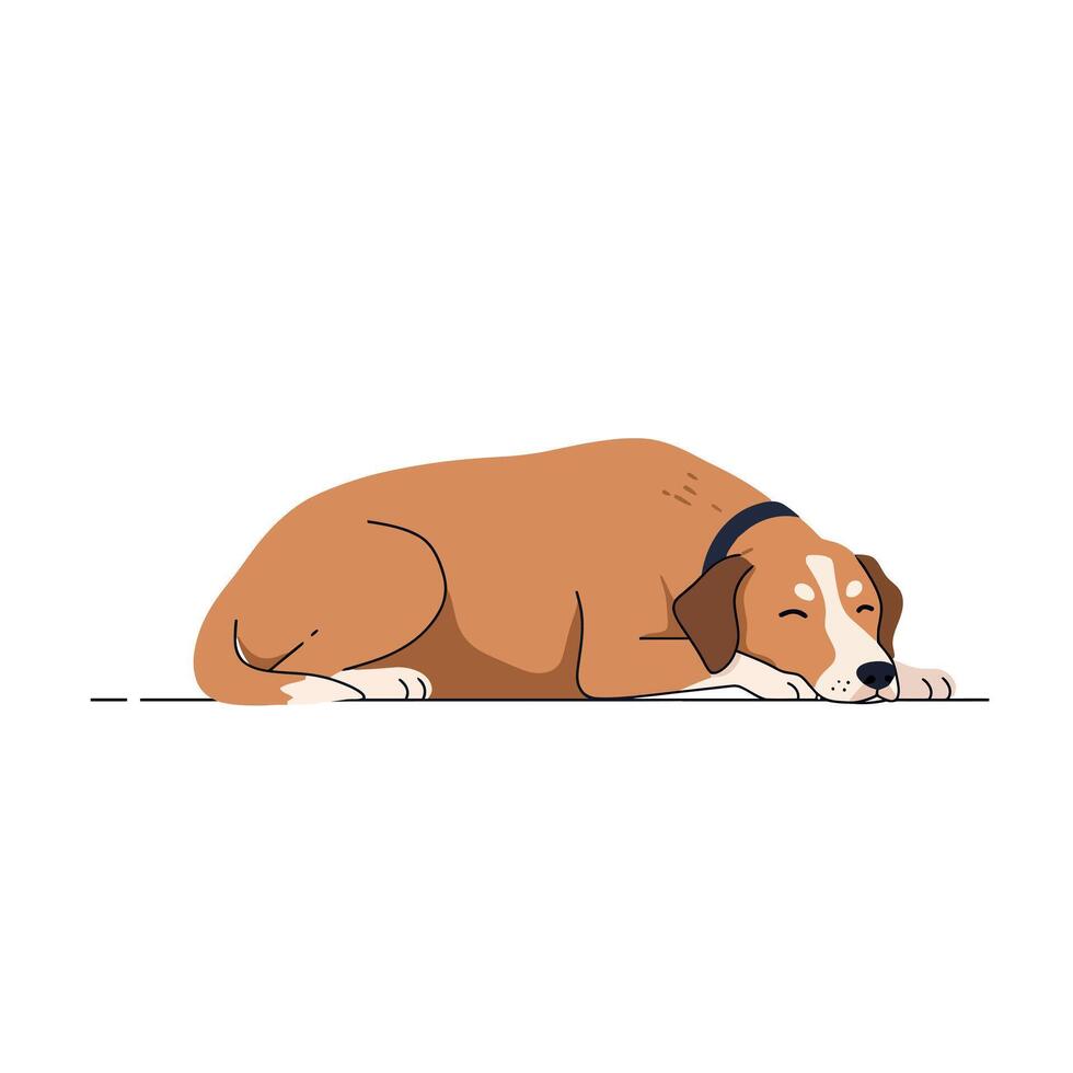 Sleeping brown dog lying down with black collar resting on white background peaceful illustration vector