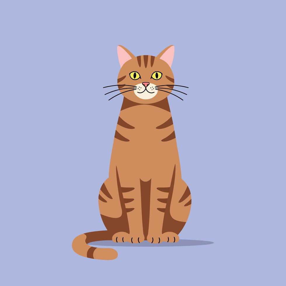 Brown tabby cat sitting upright on blue background illustration for pet and animal themes vector