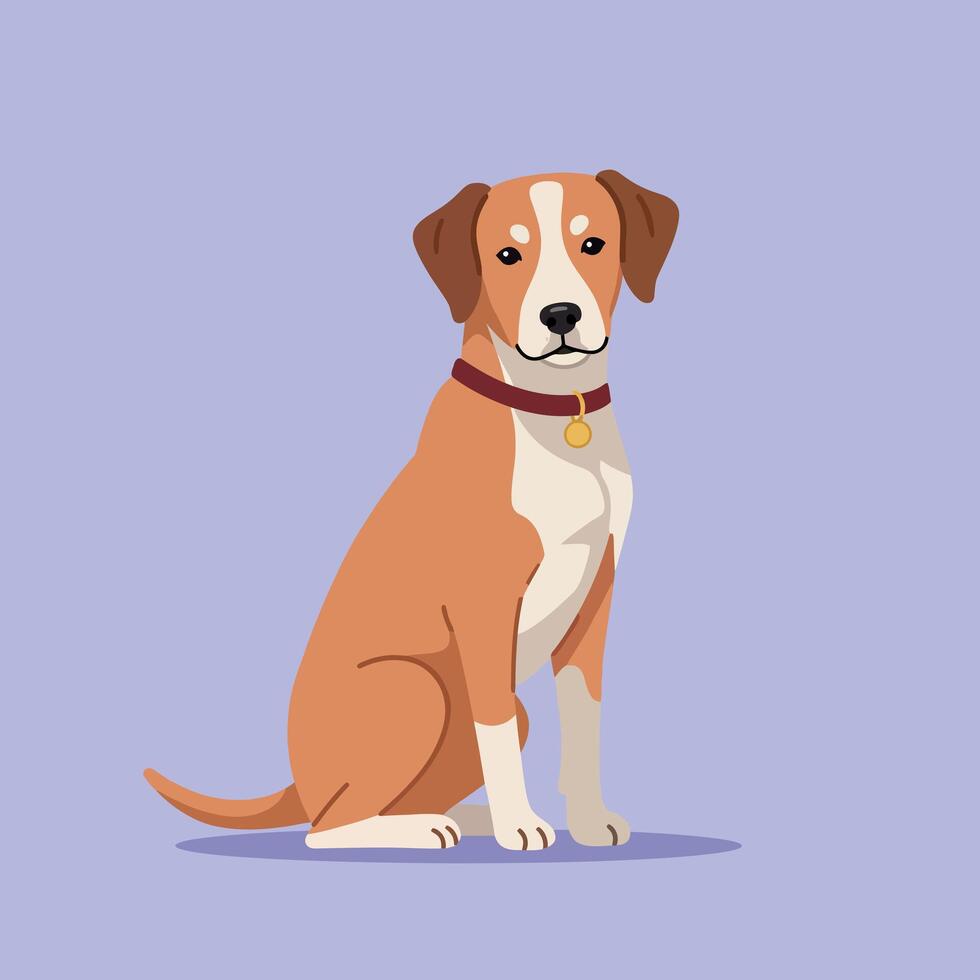 Sitting brown and white dog with collar on purple background illustration vector
