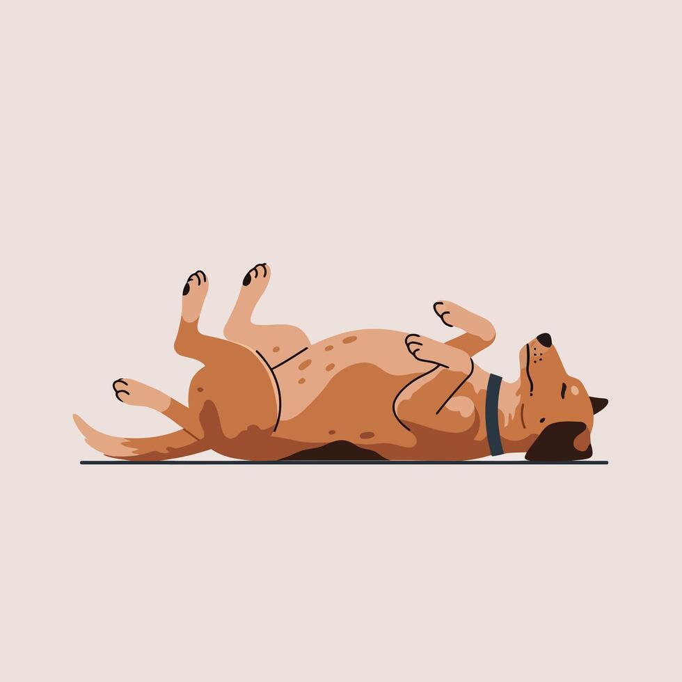 Brown dog lying on back with paws up relaxed pet illustration vector