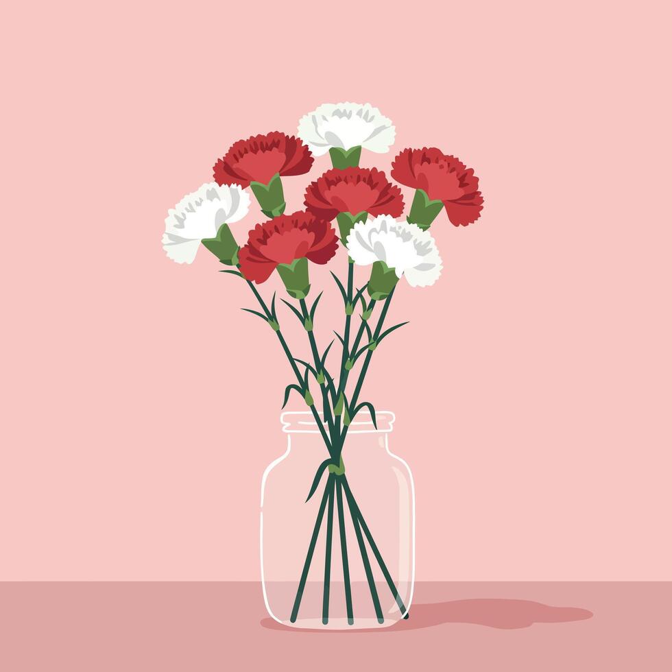 Carnation flower bouquet in clear glass vase with red and white petals on pink background illustration vector