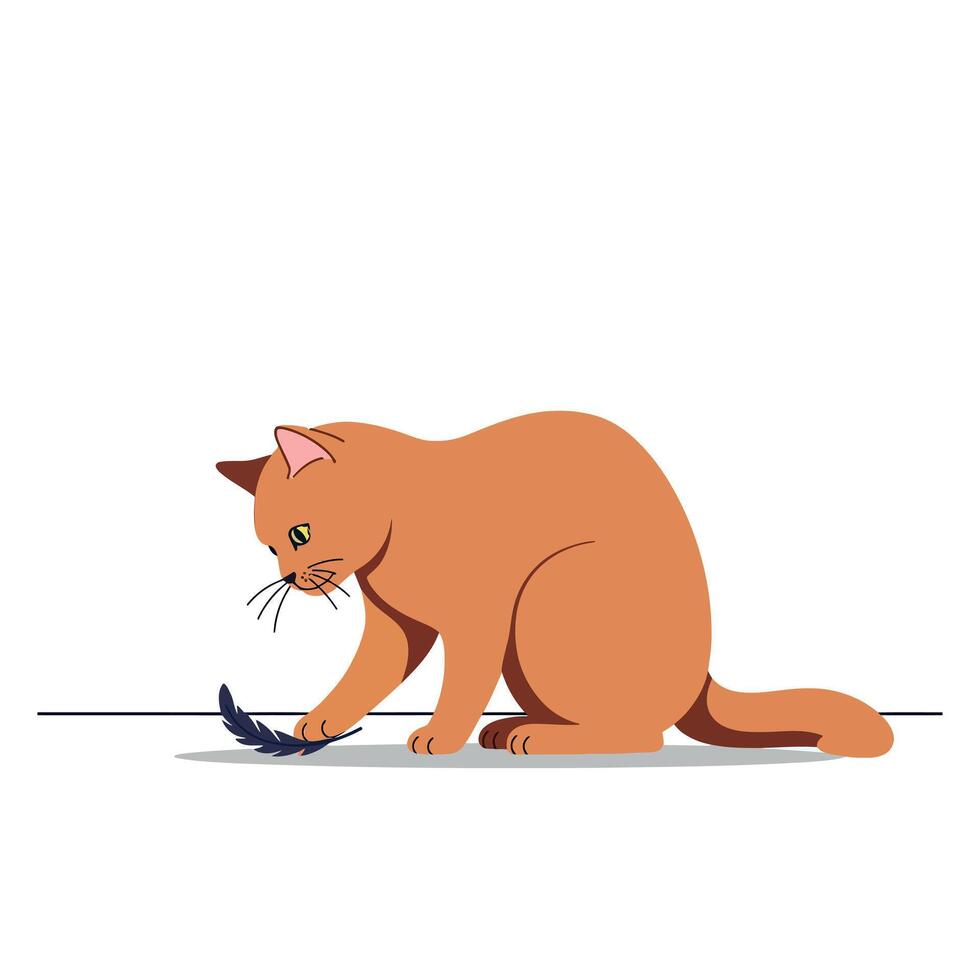 Orange cat playing with black feather illustration of curious pet animal on white background vector