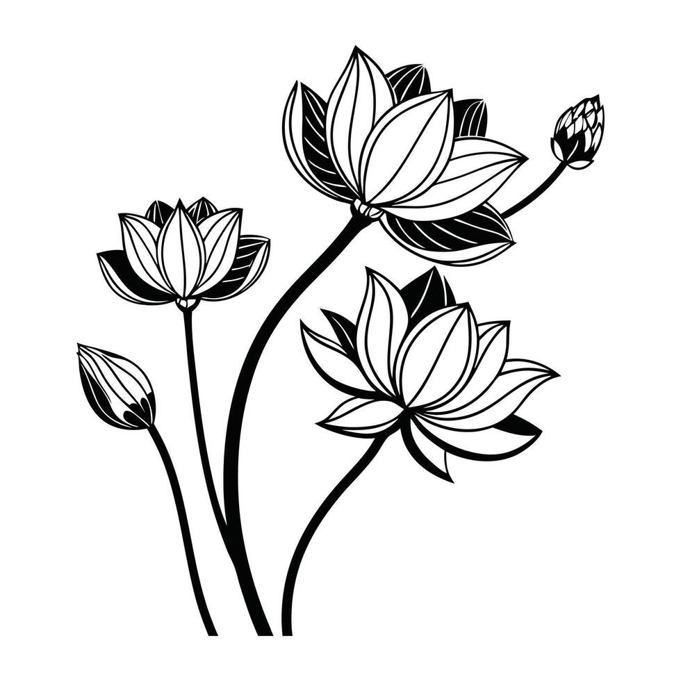 black and white drawing of lotus flowers vector