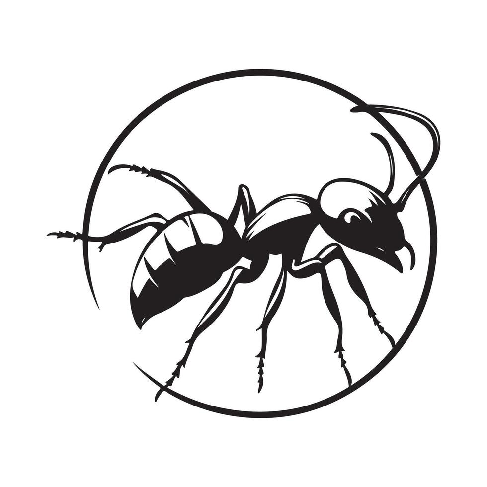 Black Ant Logo Images. Ant logo template design Image isolated on white background vector