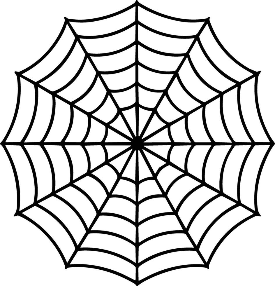 Intricate Spider Web Line Art - Minimal Halloween Cobweb Design vector