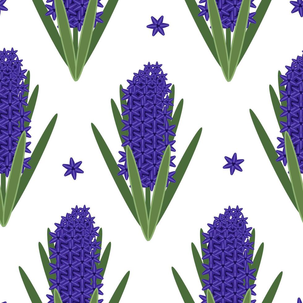 Hyacinth Seamless Pattern White Background vector