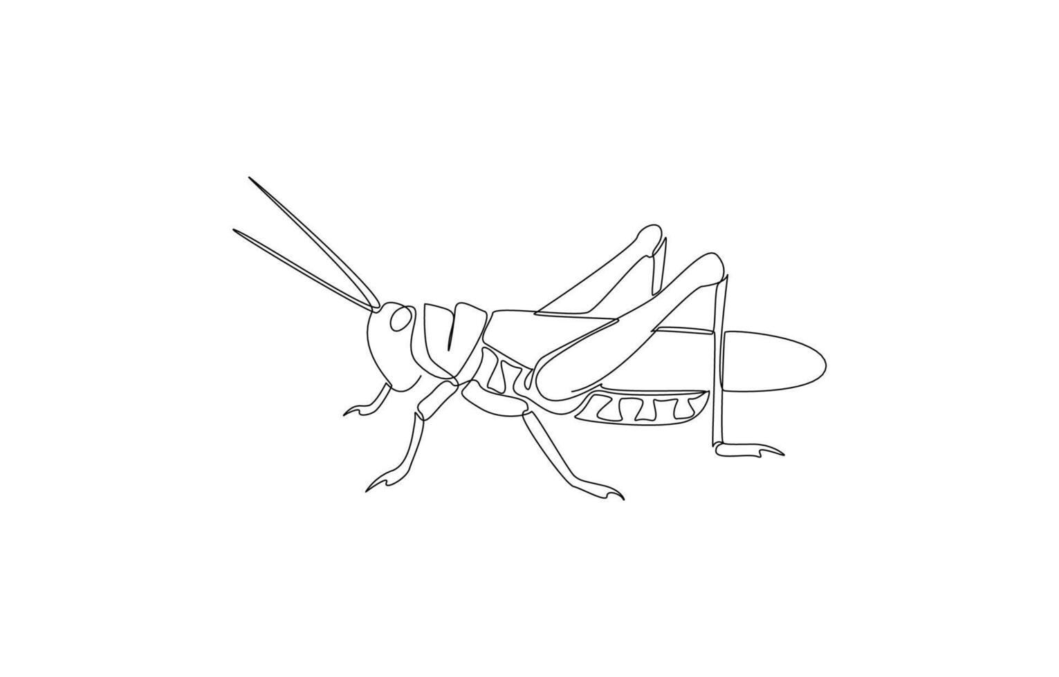 Continuous one line drawing of grasshopper, pest or agricultural crop destroyer concept, single line art vector