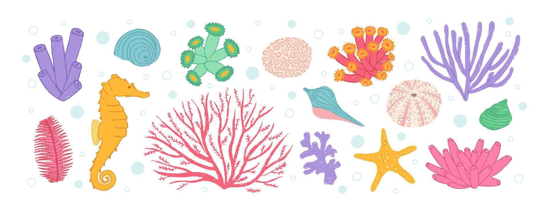 Set of various sea shells, starfishes and corals. Ocean aquarium plants. Underwater reef flora crayon illustration. Pastel chalk doodle vector