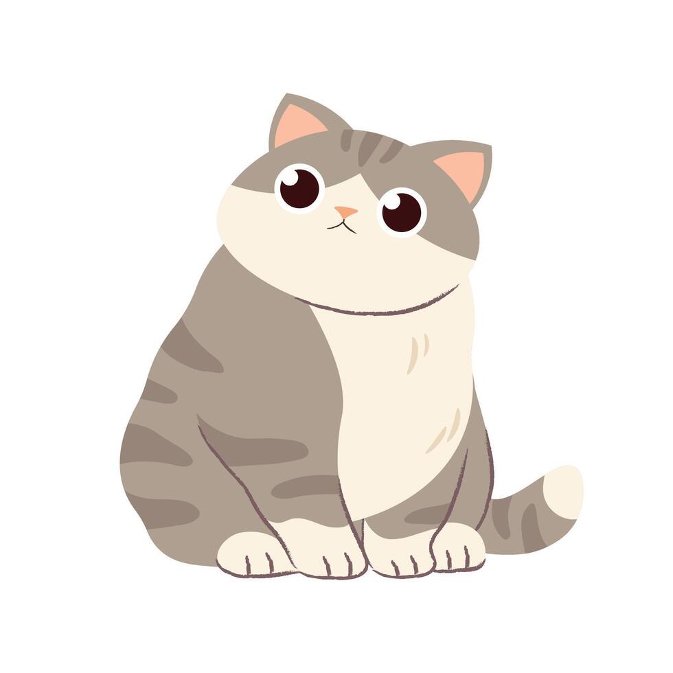 Funny fat cat on white background. Gray kitten isolated. character vector