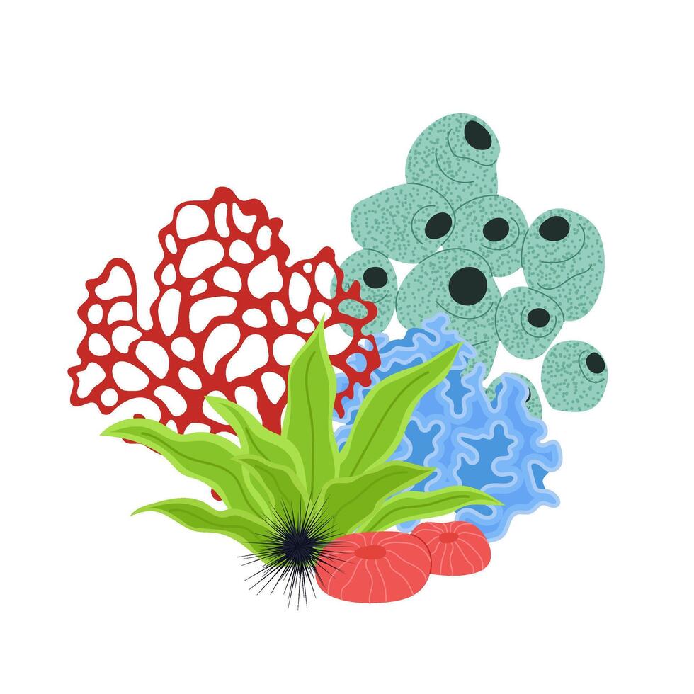 Colourful illustration coral reef. Tropical underwater plants and marine life. Underwater scene with various coral species, seaweed and marine flora. Tropical coral reef ecosystem. Aquarium. vector