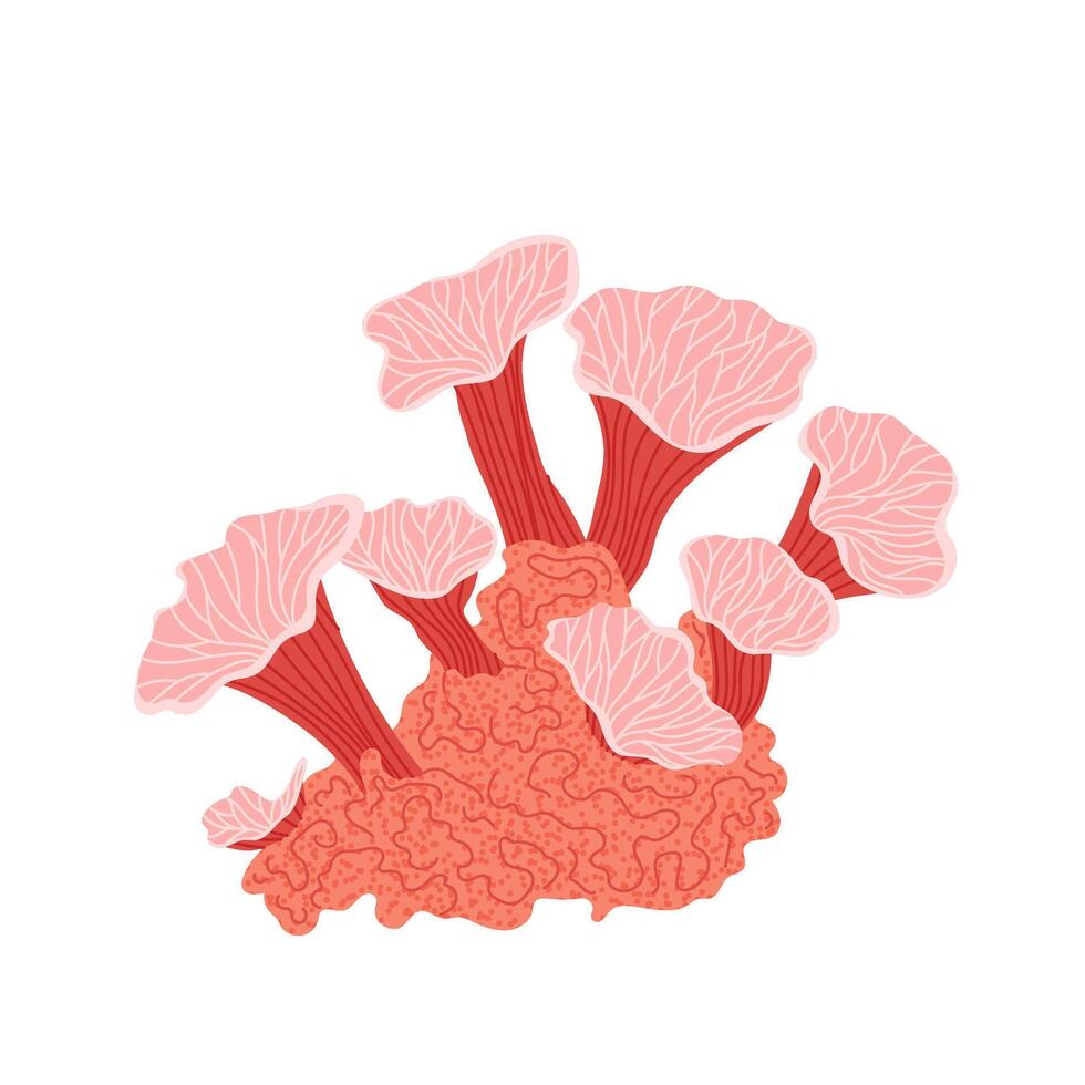 Red corral isolated on a white background. Diving. Coral reef, seabed, aquarium. Underwater ocean plant. vector
