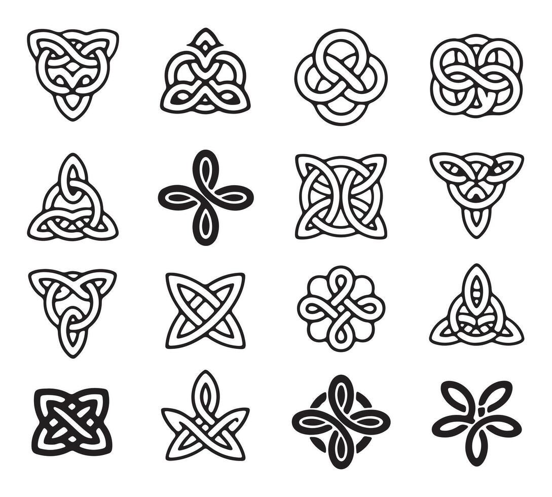 Collection of Intricate Celtic Knotwork Design vector