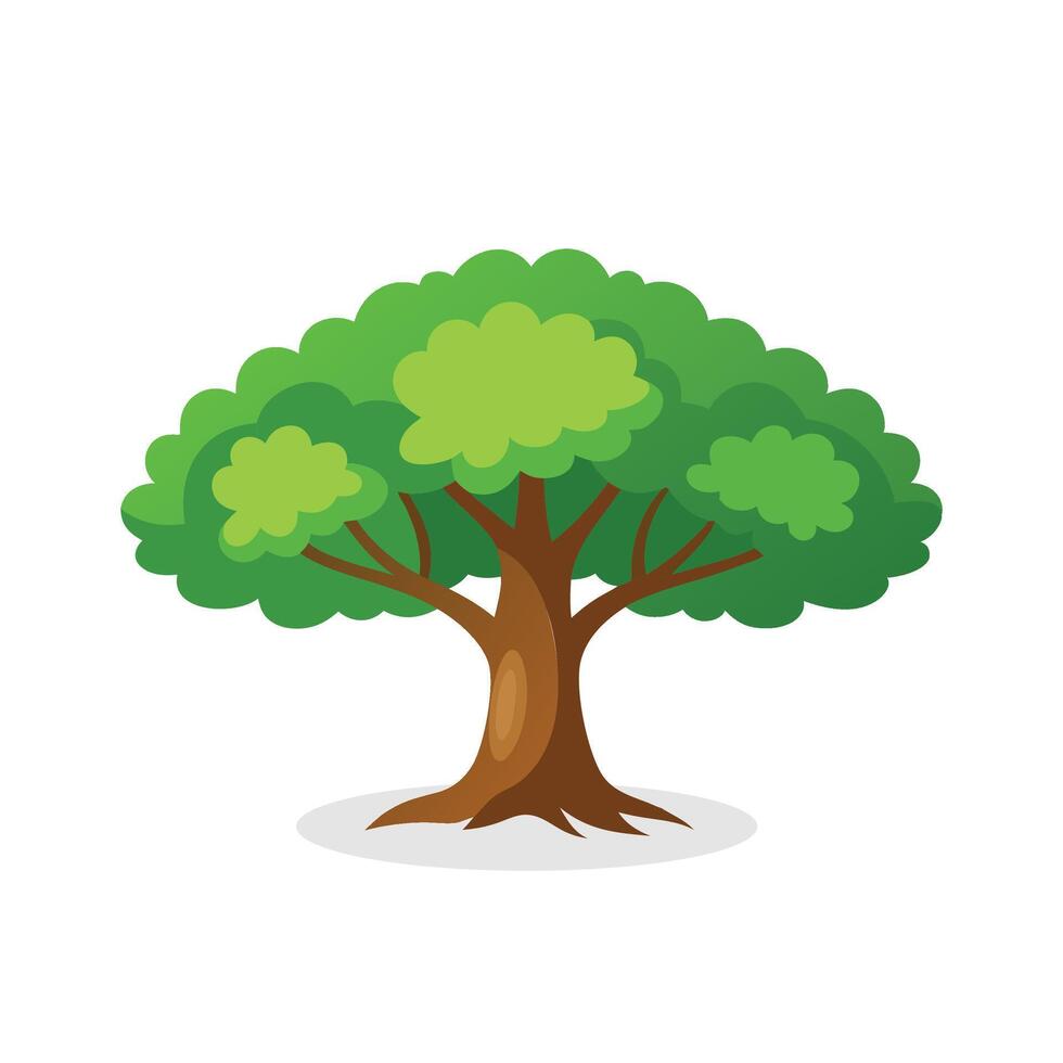 Oak tree isolated flat illustration on white background. vector
