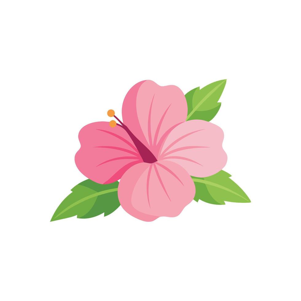 Pink hibiscus flower flat illustration on white background. vector
