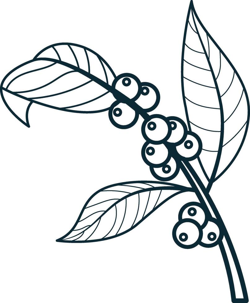Coffee plant illustration. Fresh coffee cherry illustration for business label. vector