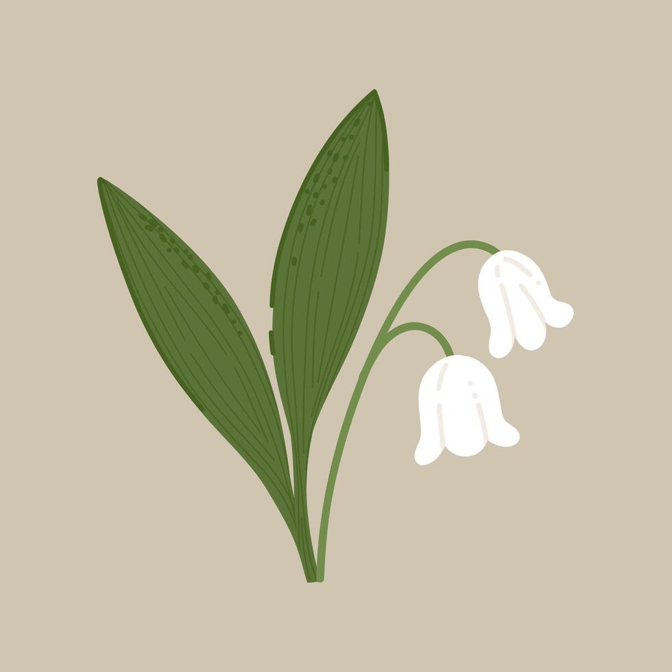 Lily of the valley in hand drawn, doodle style. Simple floral illustration of delicate white flowers with green leaves. Suitable for spring designs, cards, and botanical decoration. Beige background. vector