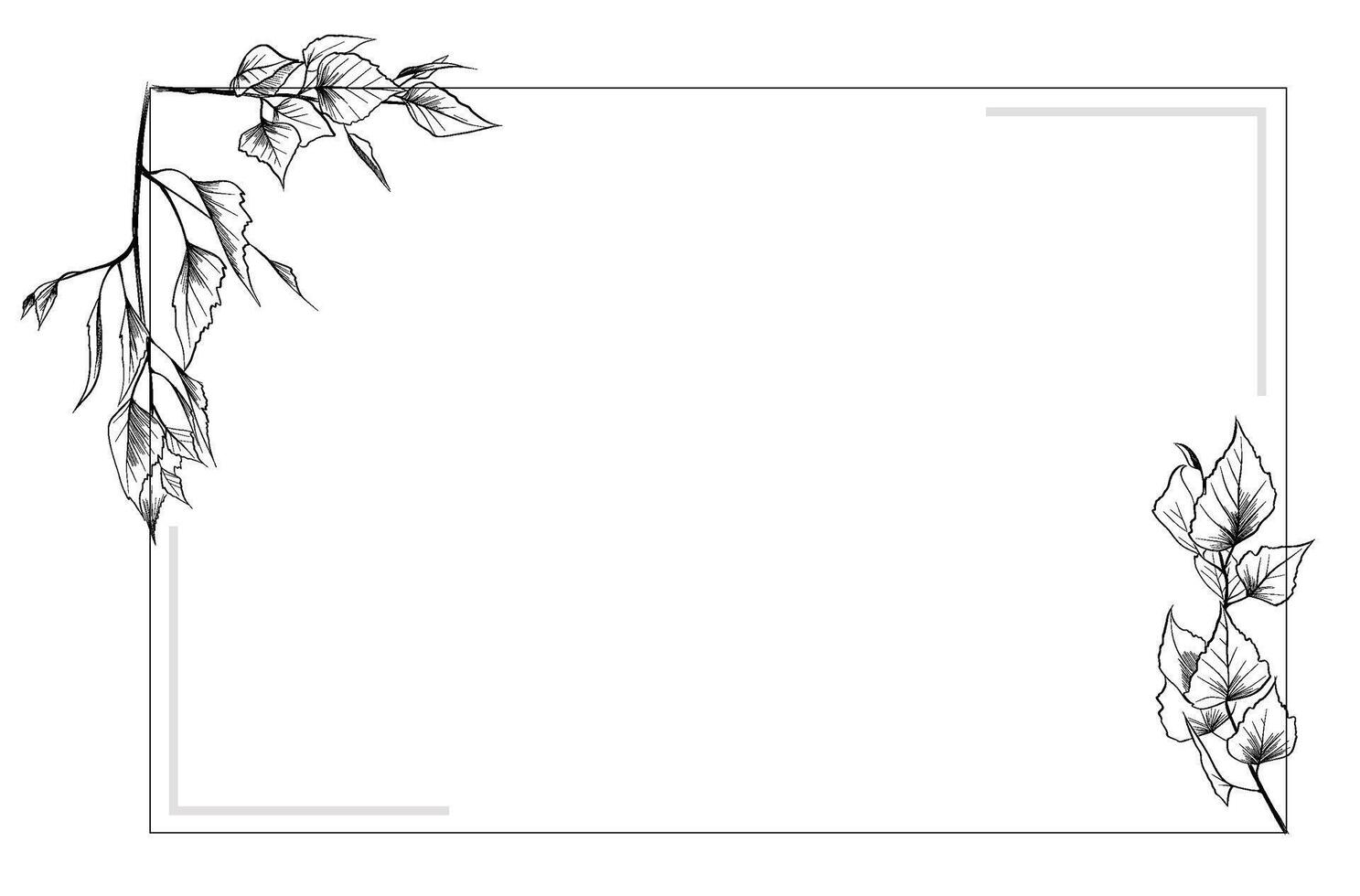 Birch leaves frame outline botanical vector