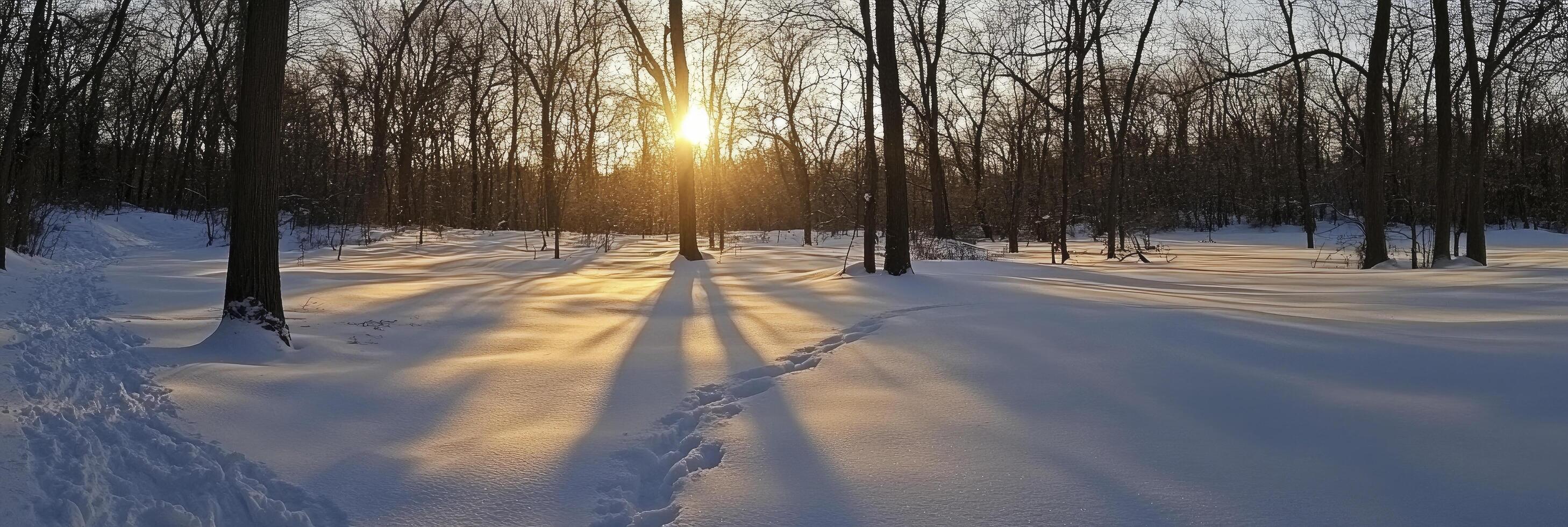 The sun is setting in the middle of a snowy forest photo