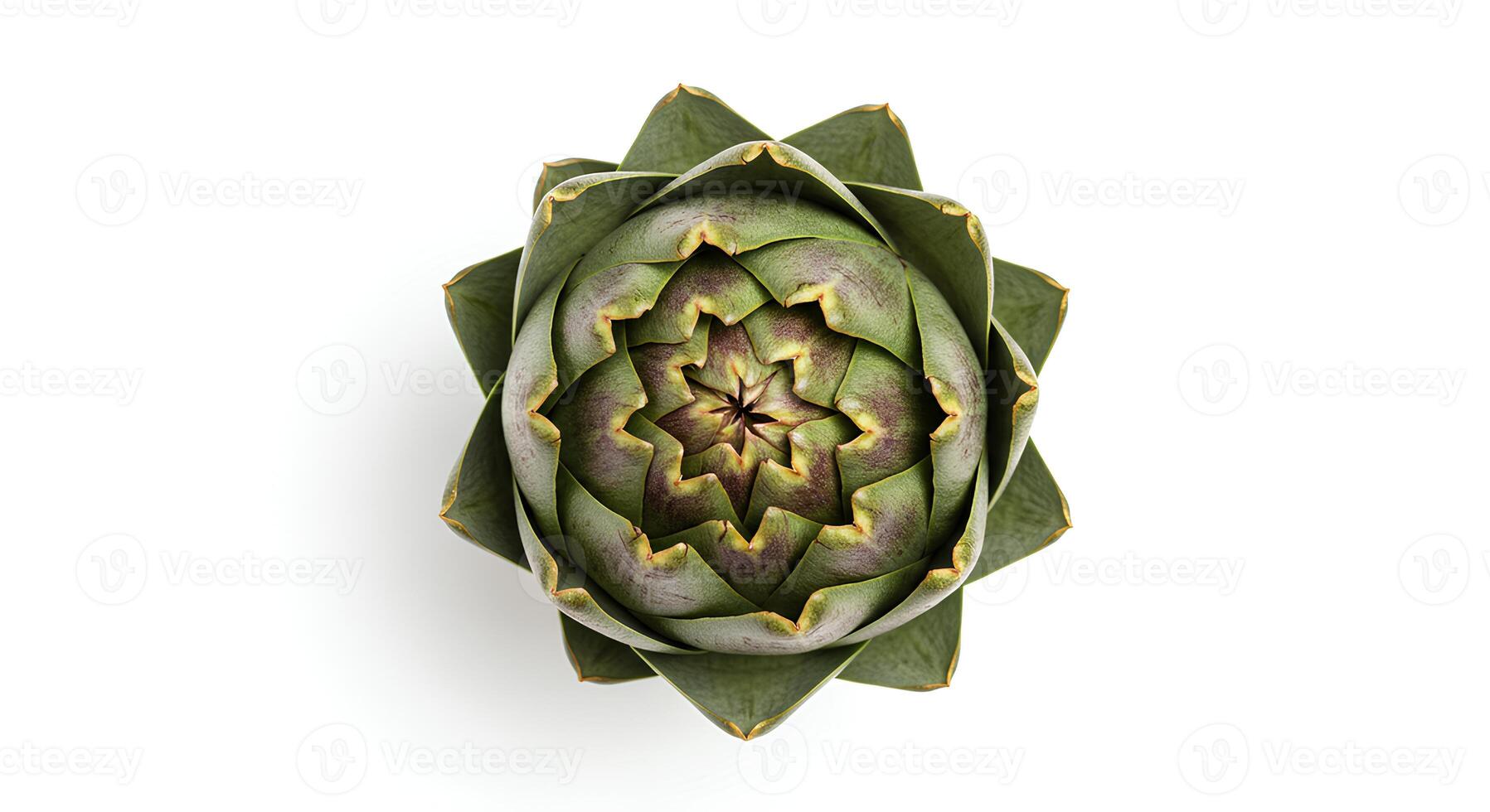 Top view of raw green artichoke on white background for farm-to-table and seasonal produce themes photo