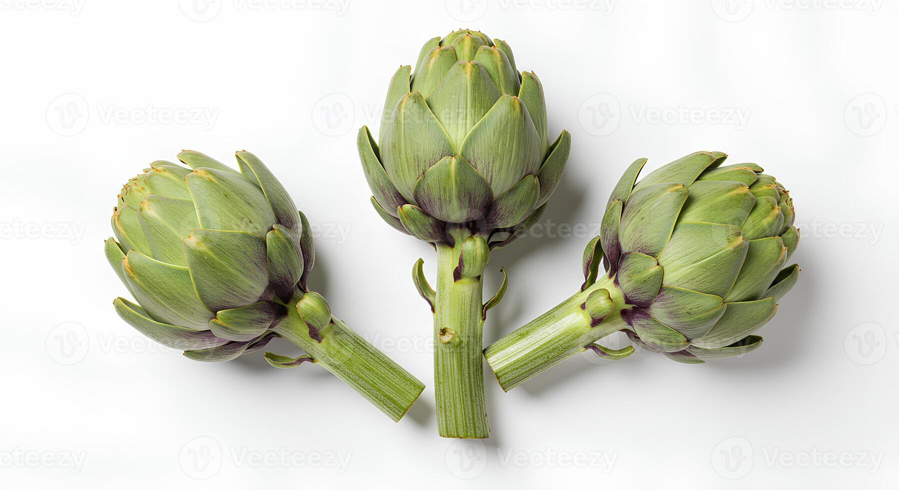 artichoke on white background top view flat lay photo