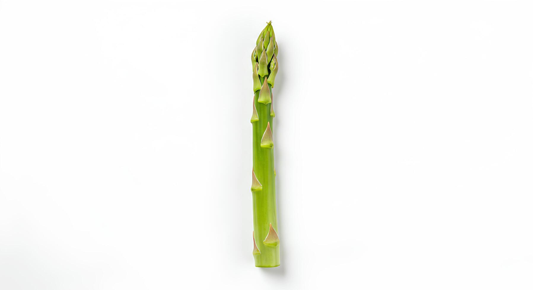 Green asparagus flat lay on white background for spring season vegetables and plant-based diets photo