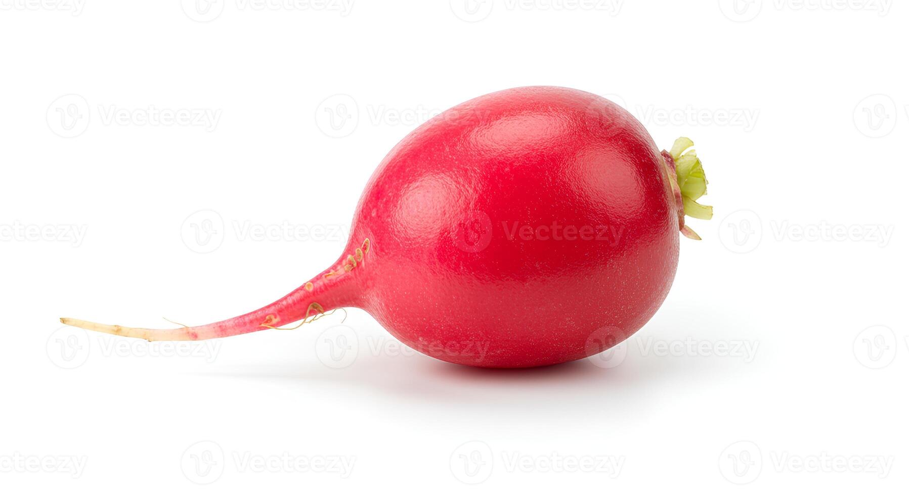 Organic whole radish on clean white background for vegan and vegetarian food concepts photo
