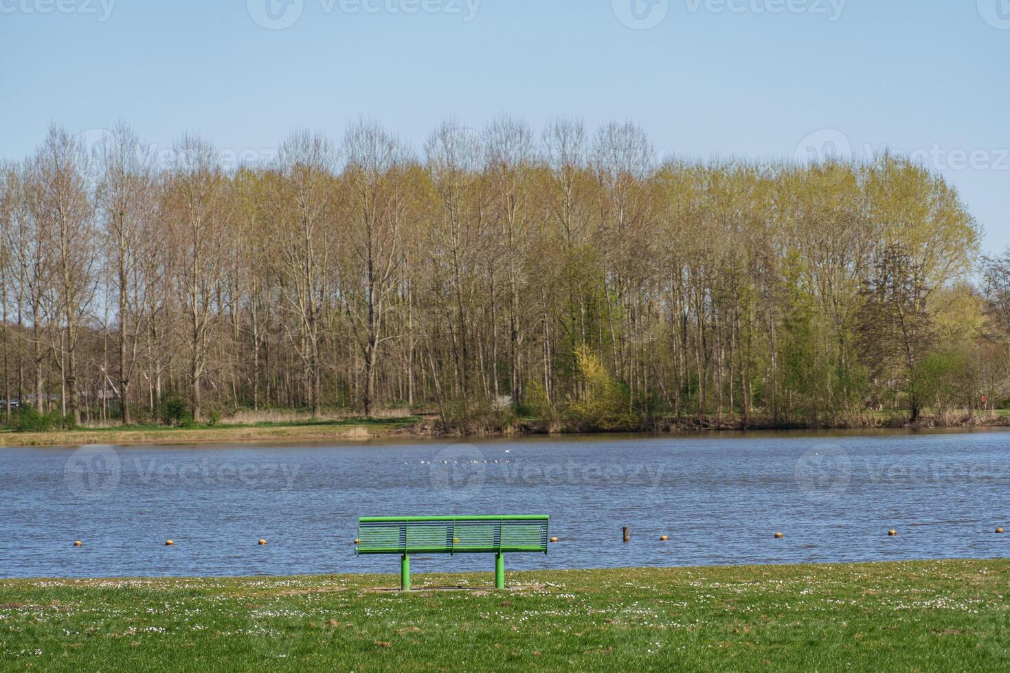 bench at a dutch lake photo