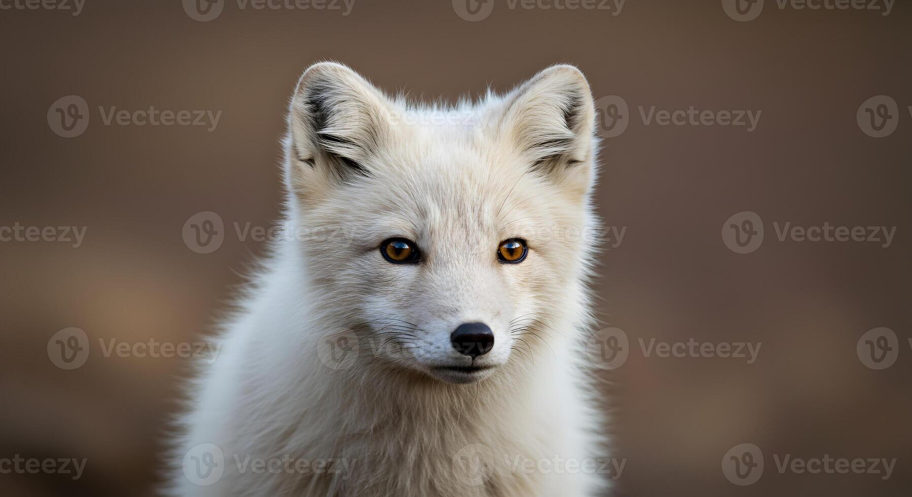 Portrait of a Curious Arctic Fox with Fluffy White Fur and Brown Eyes photo