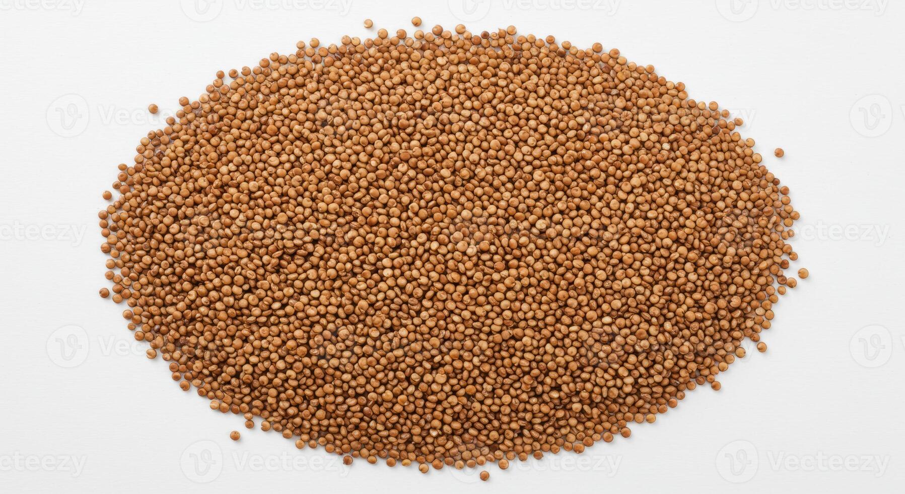 A collection of small, brown grains are seen clustered together on a clean, white surface. photo