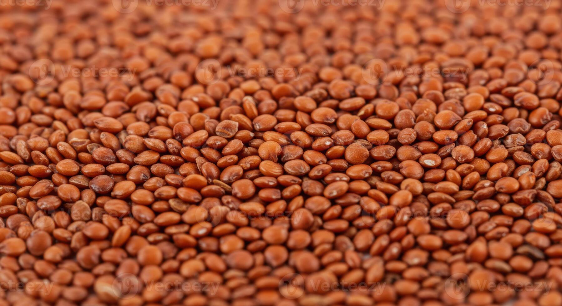 A close up captures a mass of small, reddish quinoa seeds with a shallow depth of field. photo