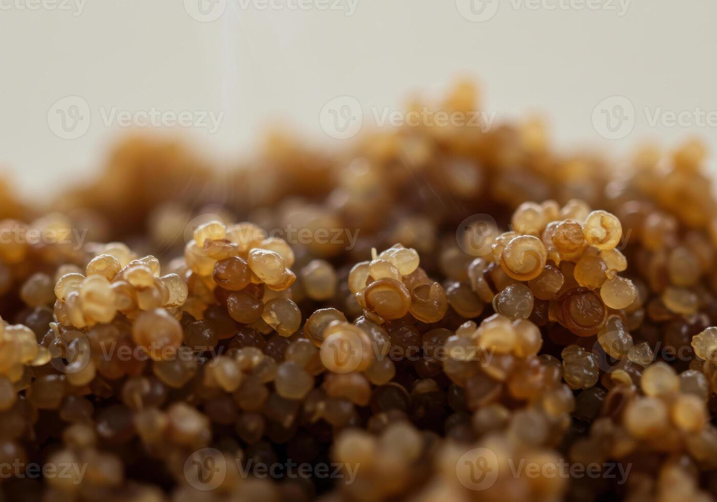 An eye-level, close-up shot showcases a cluster of small, brown tapioca pearls. photo