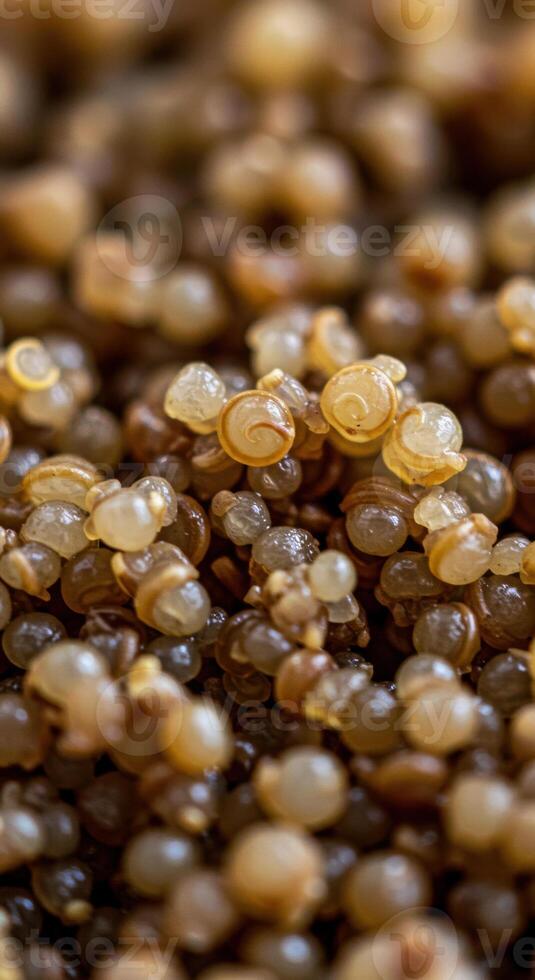 An engaging macro shot of a mesmerizing collection of tiny, snail-like structures. photo