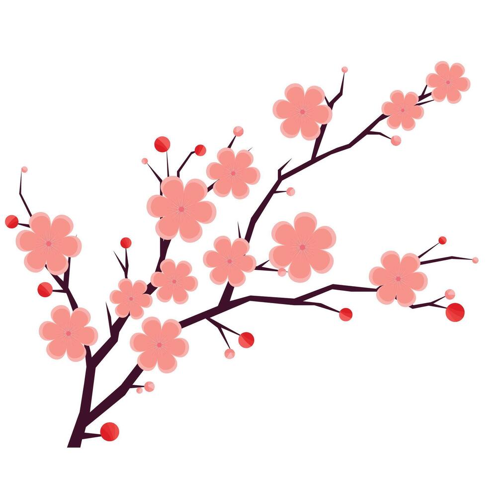 Sakura branch shows delicate spring bloom. Pink flowers bloom brightly. Bloom design. vector