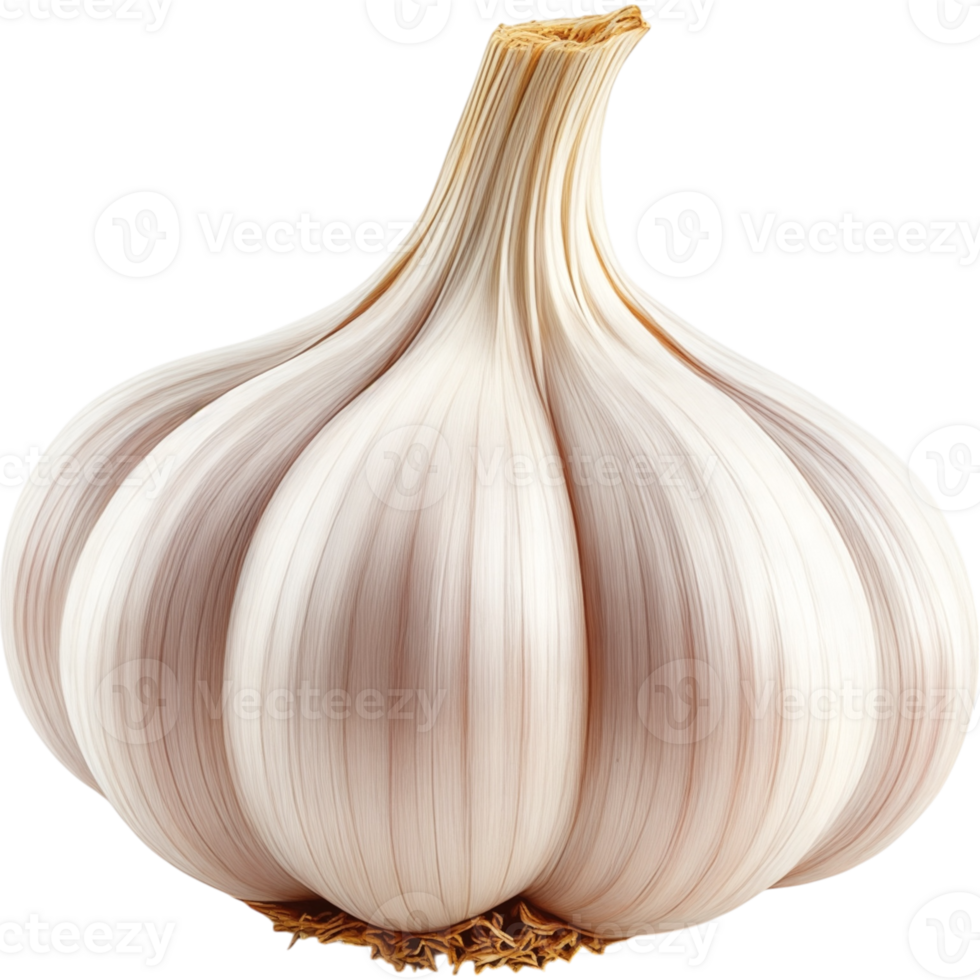 Close Up of a Single Garlic Clove png