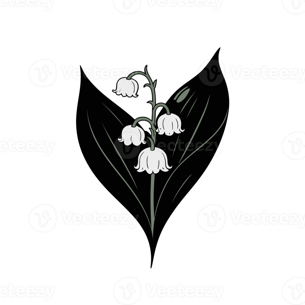 A stylized depiction of a lily of the valley plant features delicate white bell-shaped flowers and two large dark green leaves cutouts png