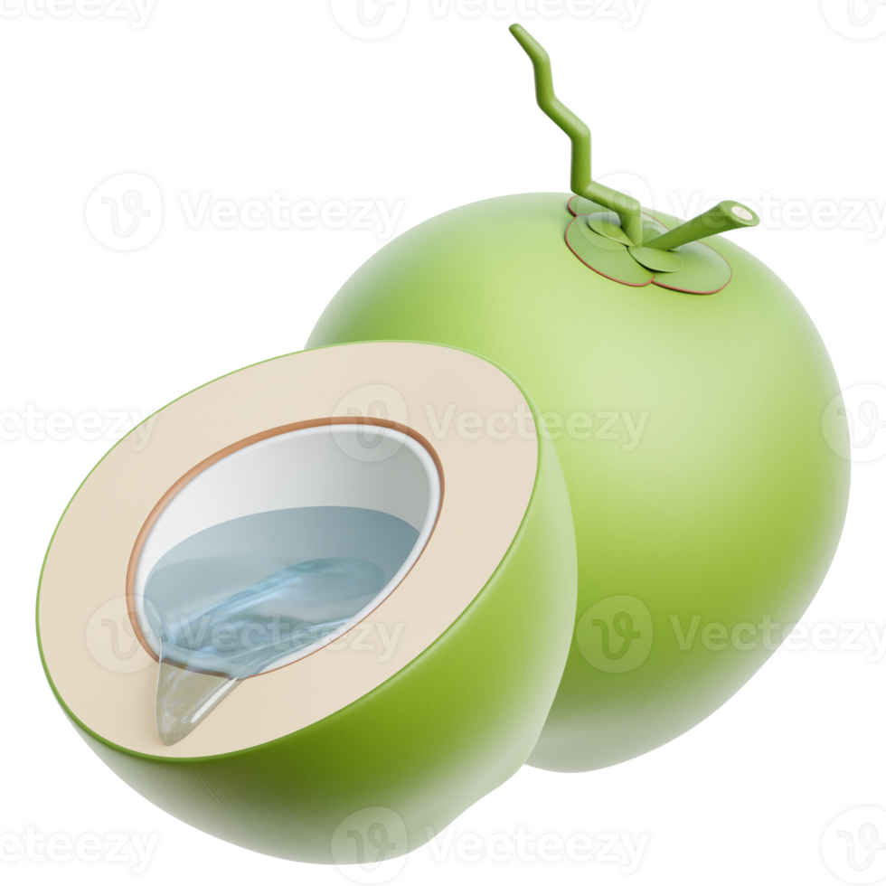 3d Coconut Illustration png