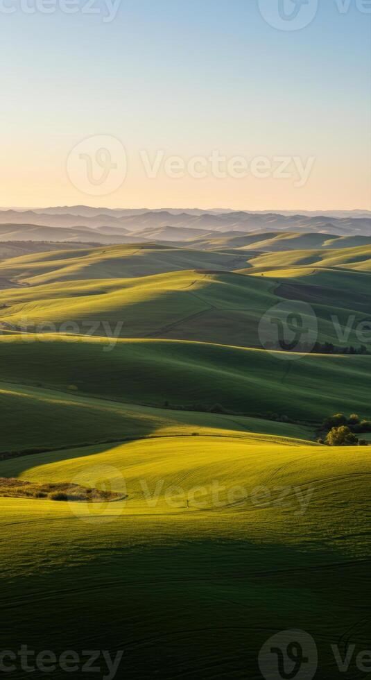 Vast expanse of rolling green hills illuminated by the warm glow of sunlight. photo