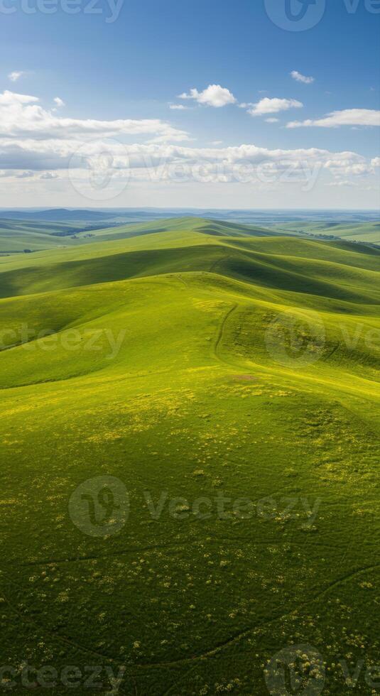Vast green rolling hills stretch towards the horizon beneath a bright blue sky and puffy clouds. photo