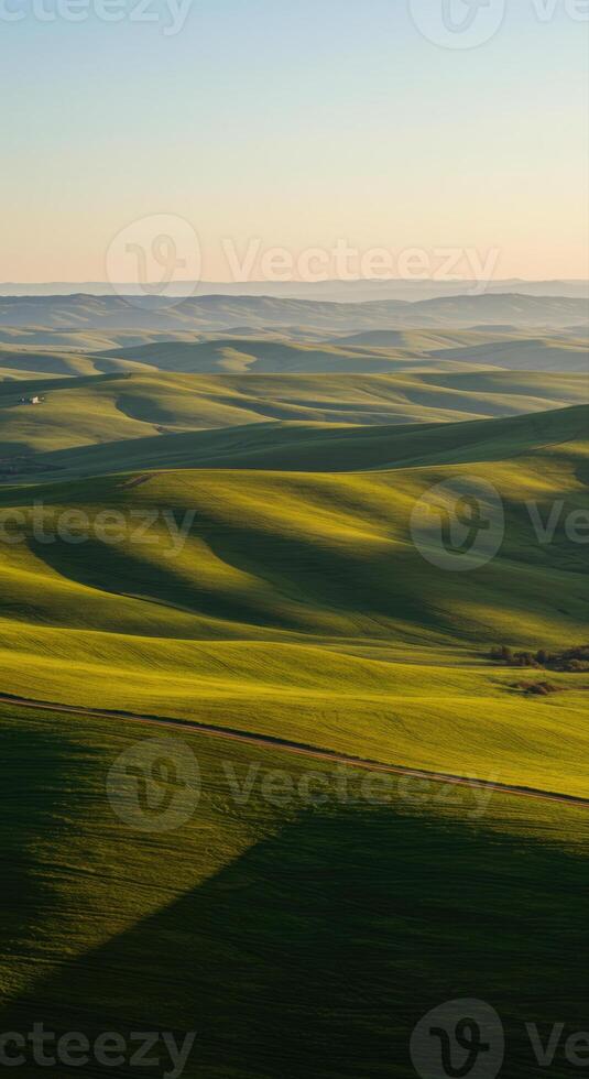 An eye-level shot of the vast, rolling hills bathed in the warm light of the sun. photo