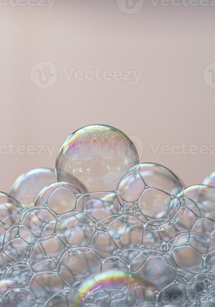A captivating view of iridescent soap bubbles, revealing intricate details and a dreamy quality. photo
