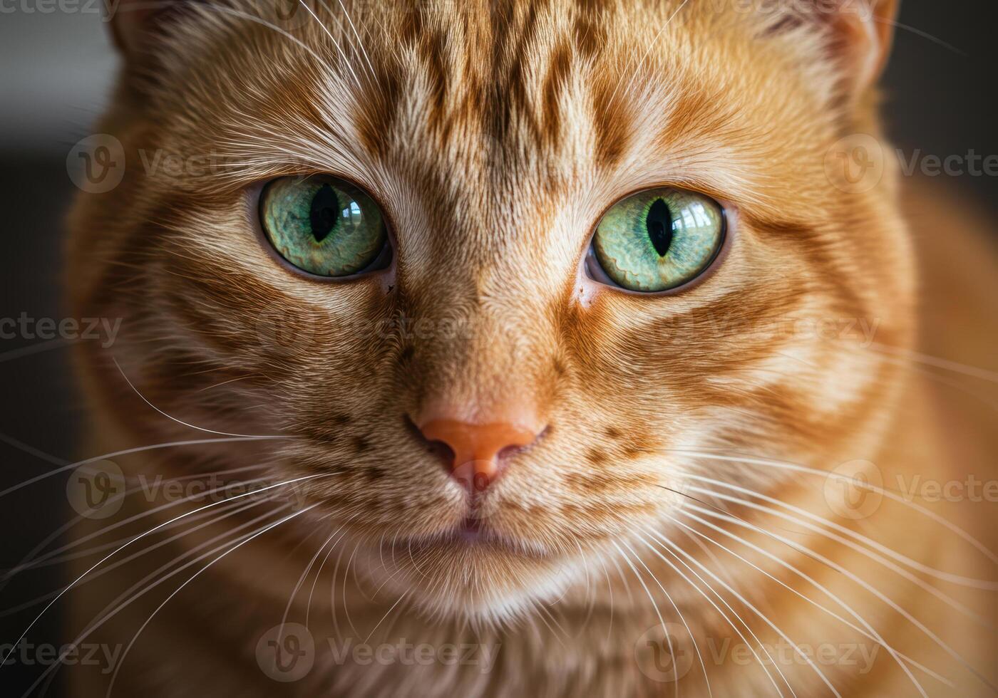 Close up portrait of a beautiful orange tabby cat with striking green eyes. photo