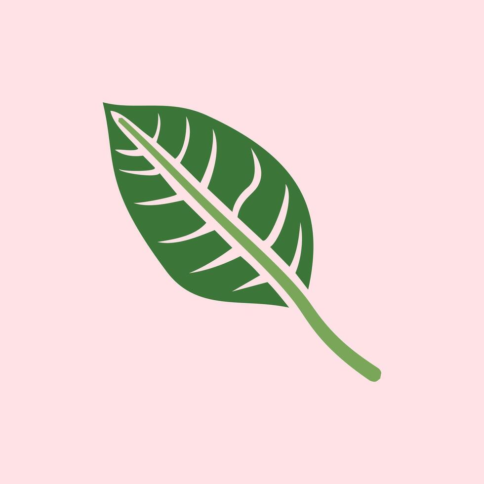 Leaf design over pink background, Green leave isolated on pink background. Nature illustration for your design. Illustration design elements with a natural theme vector