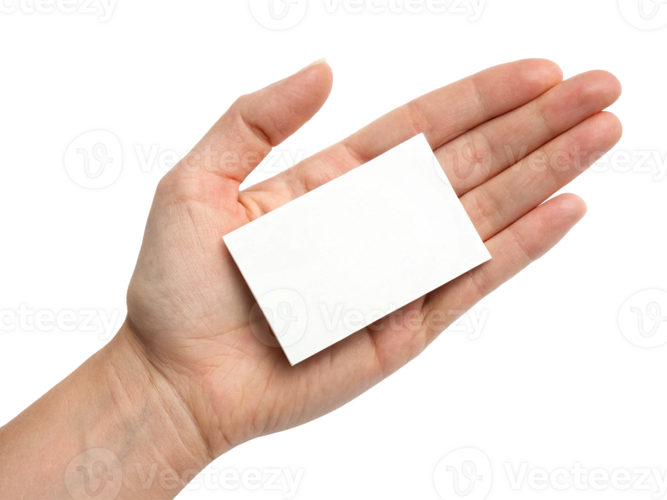 A light-skinned hand holding a blank business card, showcasing the potential for personalization. png