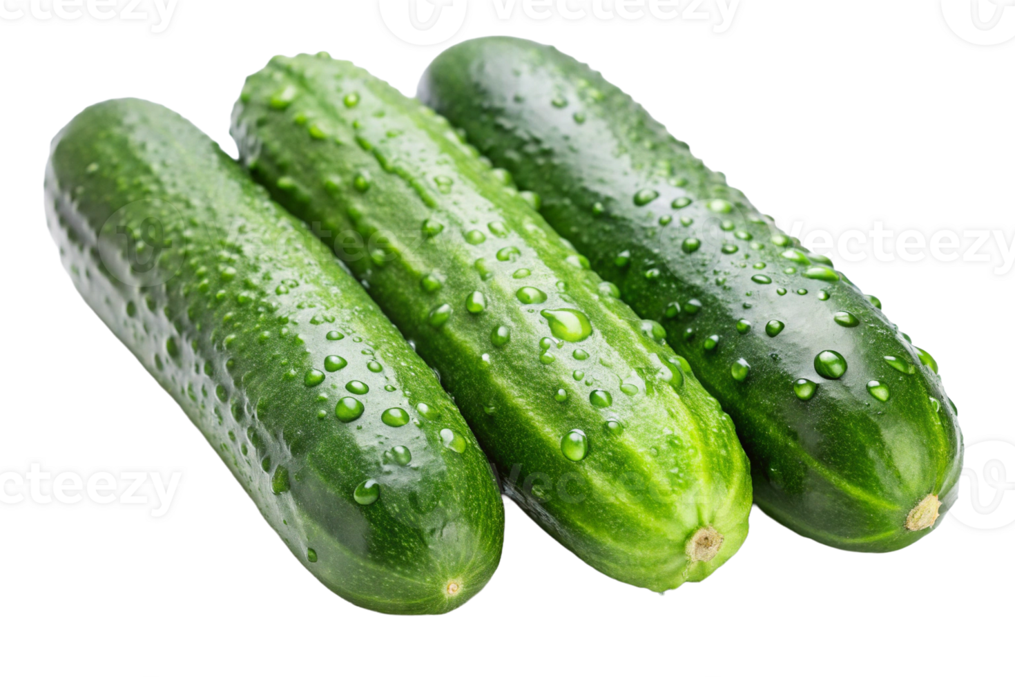 Three fresh cucumbers glistening with water droplets, showcasing their vibrant green color and natural texture. png